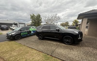 mobile car detailing logan results